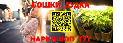 стафф Каменск-Шахтинский
